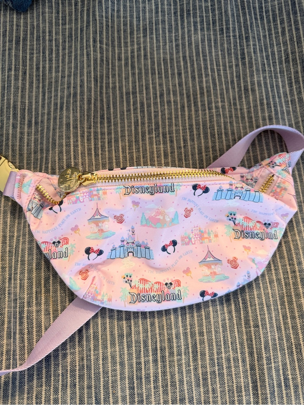New with tags Disneyland Stoney clover Fanny bag